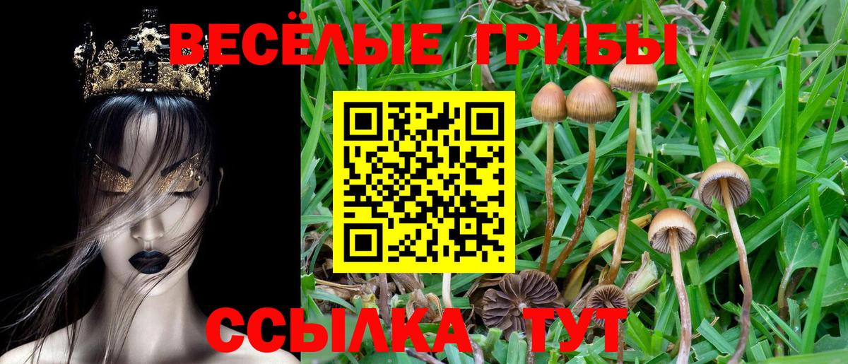 Ростов-на-Дону  Галлюциногенные грибы прущие грибы  Вход с VPN 